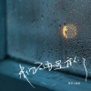 兰姗姗 - 我们不再是我们 (女版)