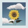 Rayon - Sunflower