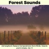 Evan Leaf Melodies - Yellow Ashy Tit