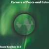 Ben Martin Meditation House - Transforming Lives (Deep Meditation)