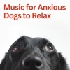 Dog Music Therapy《Music for Anxious Dogs to Relax》[MP3/LRC]