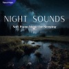 Piano、Night《Wind and the Waves《Night Sound》[MP3/LRC]