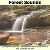 Larry Hill Club Nature - Puffy Wind