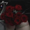 Lexis - May