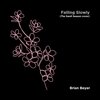 Brian Beyer - Falling Slowly