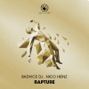 BadVice Dj、Nico Heinz - Rapture (Mainstage Mix)