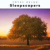 Total Relax、Masajes Spas - Cool Brook Sounds for Extreme Naps