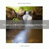 Water Science、Total Relax - Vibrations of Rivers Music and Hard Relax Sleep