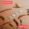 Tony Lambo66 - Human Mind