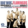 the flamingos - Dream Of A Lifetime