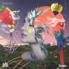 De Hofnar - Teardrops