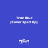 Music Factory - True Blue (Remix)