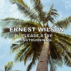 Ernest Wilson《Please Stay (Instrumental)》[MP3/LRC]