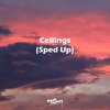 Music Factory - Cellings (Sped Up)(Remix)