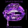 David Givens - Sweet Seduction