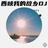 王臣玉 - 西峡我的故乡 DJ