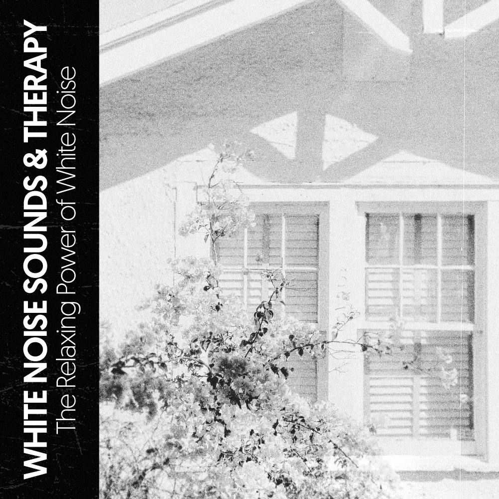 Hi Freq Samples、Ruido Blanco Hart、The White Noise Travelers - Reality White Noise