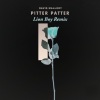 Davis Mallory - Pitter Patter (Lion Boy Remix)