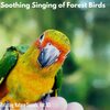Maxim Miroslov - Lizard Clicks and Soothing Birdsong