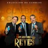 Los Hermanos Reyes - Camino de la Vida
