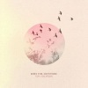 Tim Halperin - Born For Adventure