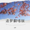 追梦 - 海风轻轻吹我心