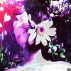G.X.D!、1134 - Back to Spring (feat. 1134)(Explicit)