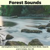 Evan Leaf Melodies《Hushed Waterfall Melodies》[MP3/LRC]