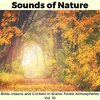 Yuanjun Wong - Soft Winds from Oceania
