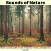 Emma Scott Nature Studio - Mild Desert Wind