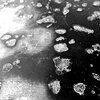 brokenfishtiarra - Compound