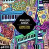 Analog Jungs - Connection