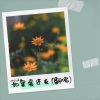 y回忆g金曲 - 如果爱还在