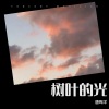 唐晖洋 - 树叶的光
