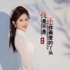 苏航 - 我还是不是你最爱的丫头 (DJ何鹏版)