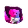 Christopher Martin、DUNZA - My Dog