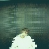 GRAHAM - Wasted Time