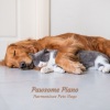 Quiet Piano Jazz Relax、Sleeping Piano、Relaxing Piano《Cuddly Canine Chorus》[MP3/LRC]