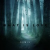 Bull Beats - What Is Love (Remix)