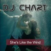 DJ Chart《She's Like The Wind》[MP3/LRC]