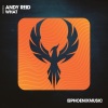 Andy Reid - What (Extended Mix)