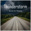 Rain Records Soundscapes BNLXA、Sonidos De Truenos y Lluvia、Ondas Alfa《Thunderstorm Sounds for Relaxing, Pt. 01》[MP3/LRC]