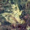 David Payne - Lost Forest