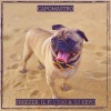 Freezer、Il Fluido、Dj Keyo - CapoMastro (Explicit)