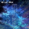 洪平源 - 不落的流星