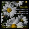 Claudio Ferrarini、jorg demus - I. Allegro moderato (Arr. for flute by Claudio Ferrarini)