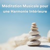 Ambiente、Musique Relaxante、Musique pour dormir - Le chant de la lumière (Musique de détente et de méditation)
