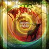 Sigooma - Vertigo (Original Mix)