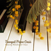 Classical Piano Music、Peaceful Piano Jazz、Relaxing Piano Man - Serene Sanctuary