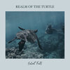 Salient Facts - Realm of the Turtle